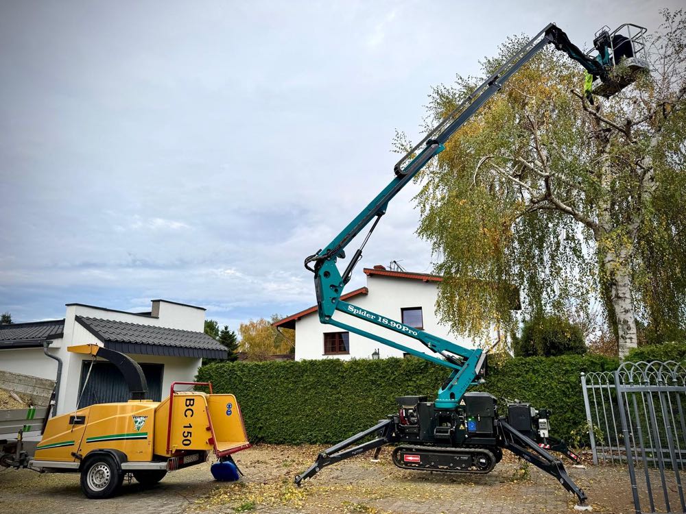 Spider lift przy wycince drzewa