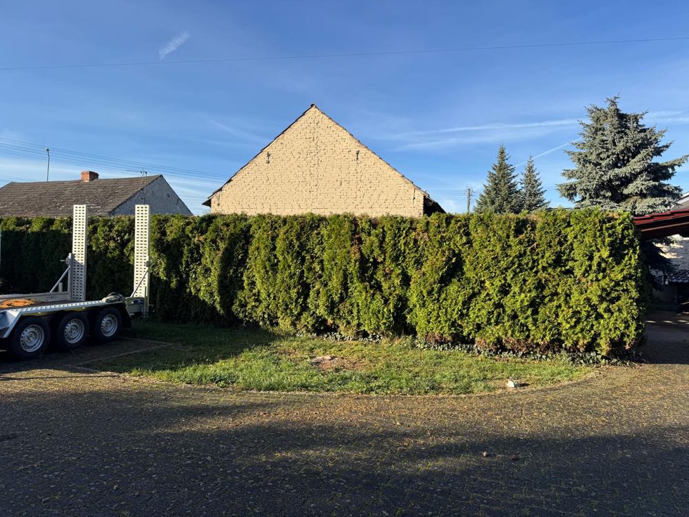 Przycinanie żywopłotu